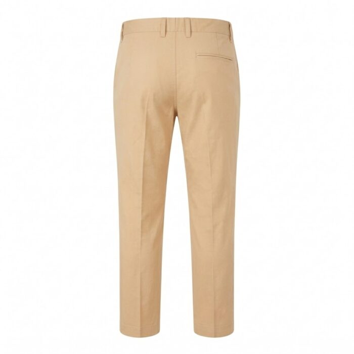 Govt 6-8 Boys Fawn Plain Pant - Image 2