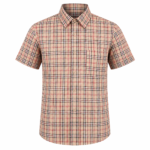 TN Govt 6-8 Boys Fawn Shirt